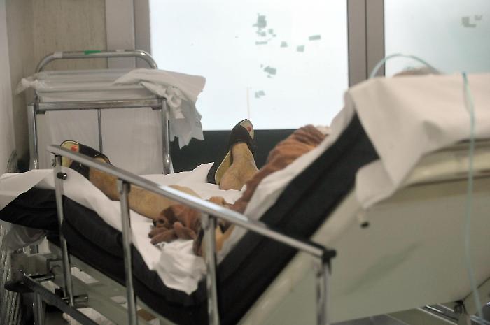 Il ministero della Salute smentisce l'Oms: &laquo;A noi non risultano i 5 morti per caldo in Italia&raquo;