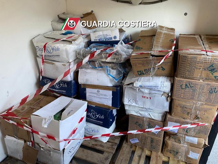 Sequestrata mezza tonnellata di pesce senza tracciabilit&agrave;: blitz contro la vendita illecita alle pescherie
