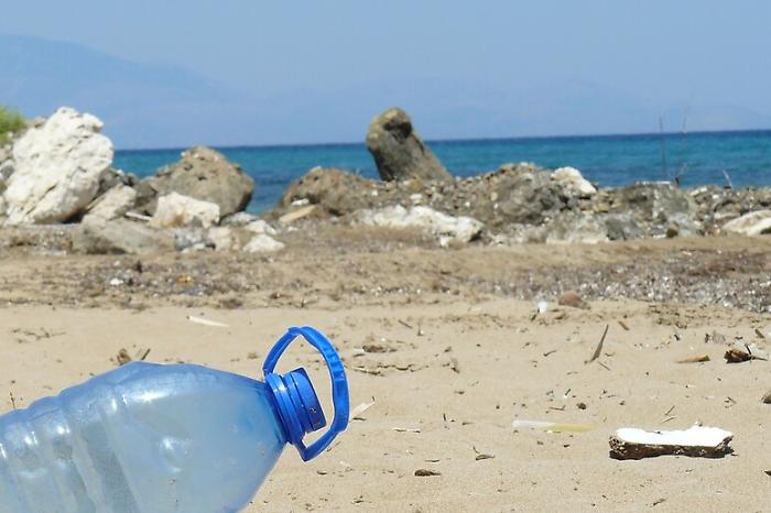 Un granchio imprigionato per due mesi in una bottiglia di plastica