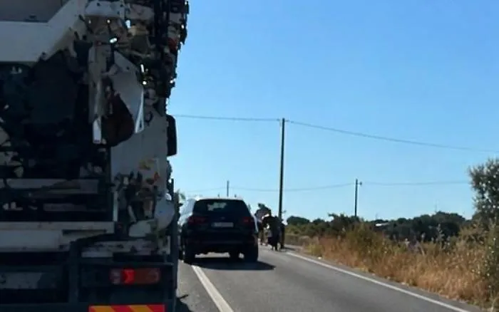 Auto contro vitelli sulla Ragusa-Vittoria