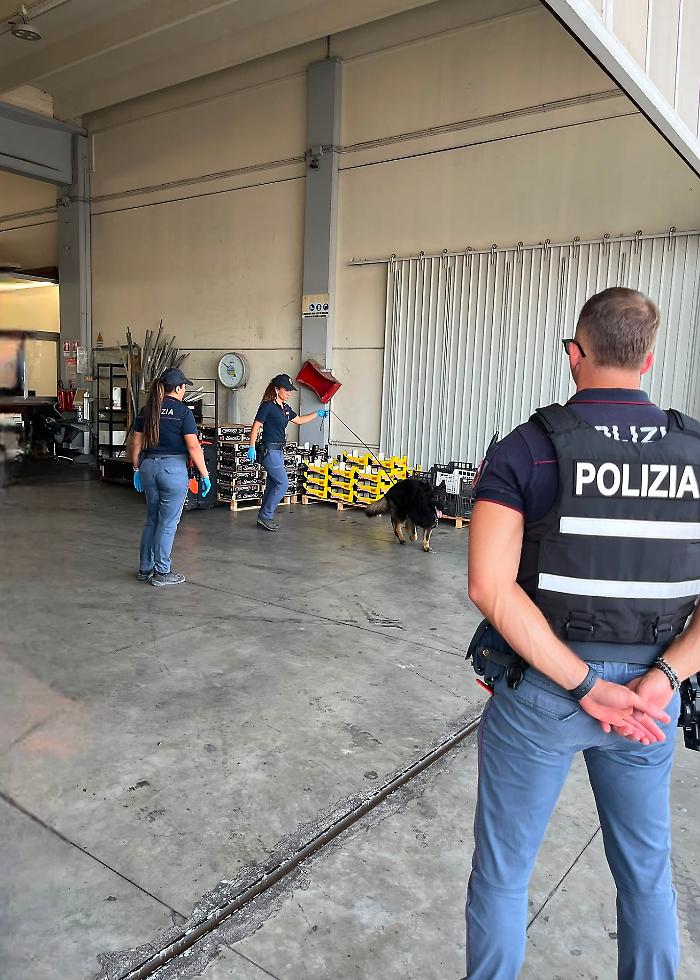 Controlli al mercato ortofrutticolo, contestate sei sanzioni amministrative