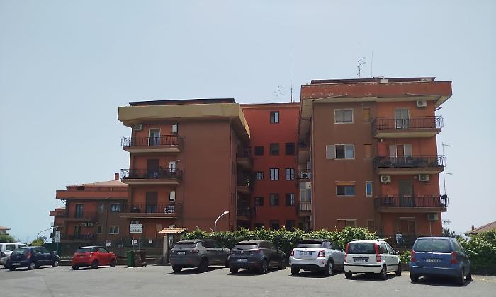 Lancia il cane dal quarto piano nel Catanese: il Partito Animalista Italiano denuncia e chiede giustizia