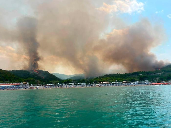 Fiamme fino al mare sul Gargano: turisti evacuati dalla guardia costiera tra Peschici e Vieste
