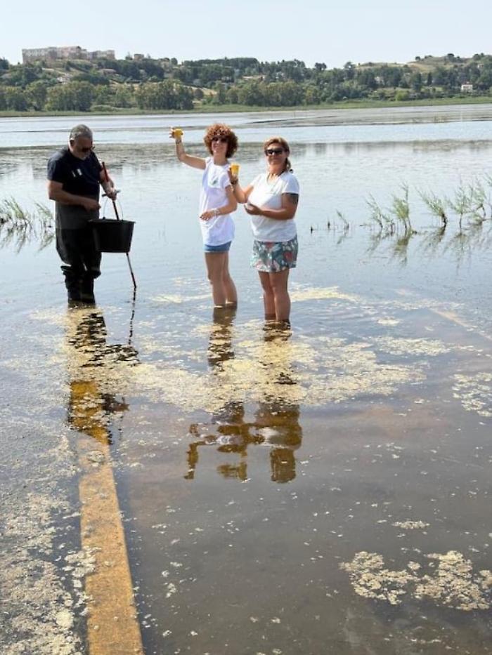 Lago di Pergusa promosso per la qualit&agrave; dell'acqua, ma Legambiente avverte: "Serve un piano d'emergenza"
