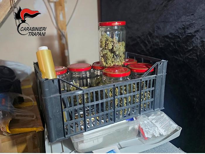 Arrestato a Erice un uomo sorpreso con quasi mezzo chilo di marijuana e attrezzature per la coltivazione