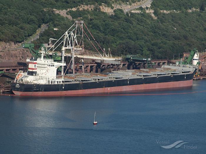 Tensione alle stelle nel Mar Nero: droni russi su una nave cargo tedesca