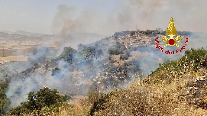 Regione, stop agli affari nelle aree degli incendi boschivi: a chi vanno i 18 milioni stanziati per la biodiversit&agrave; 