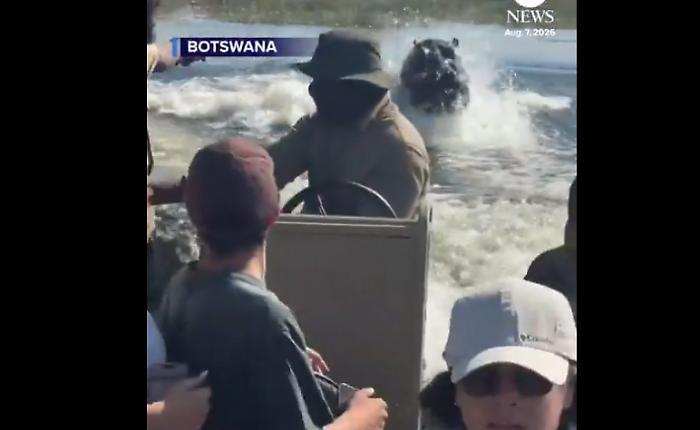 Terrore in Botswana: l&rsquo;ippopotamo insegue la barca a pochi metri