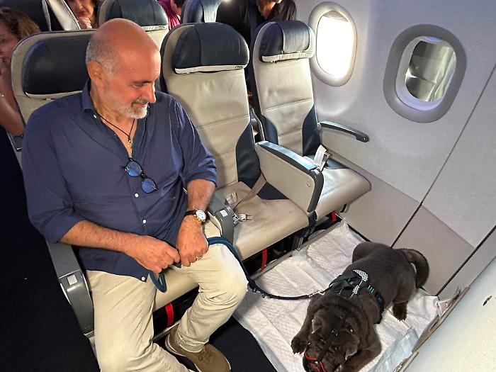 Geppino taglia un traguardo: &egrave; il primo cane-passeggero di Palermo sul volo Ita Airways 