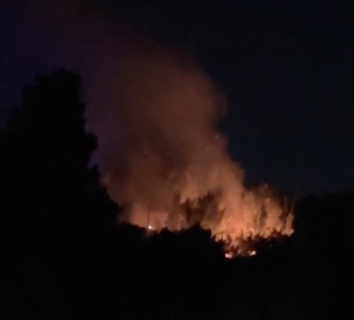 Fiamme nella riserva del Pino d'Aleppo, a Vittoria situazione critica