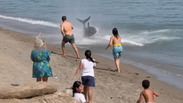 Paura a Marbella: un tonno di due metri insegue bagnante fin sul bagnasciuga, il video &egrave; impressionante