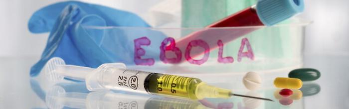 Sospetto caso di Ebola in Trentino, scattano i controlli: isolamento, esami al Sacco e contatti sotto osservazione