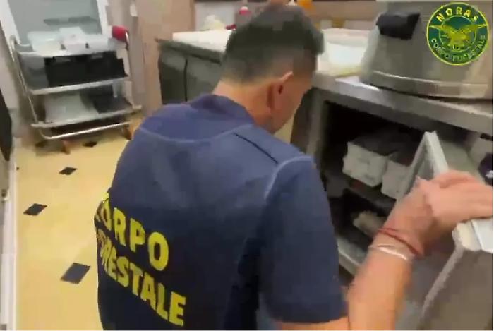 Controlli in un chiosco-panineria della Scogliera di Catania: sequestrati e distrutti 15 chili di carne non idonei al consumo