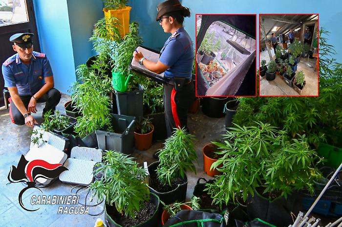 Ragusa, coltivava marijuana in casa: arrestato un 44enne