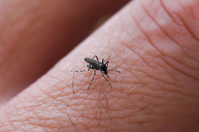 L'ombra del West Nile sulla Lombardia: professore in pensione muore a Pavia