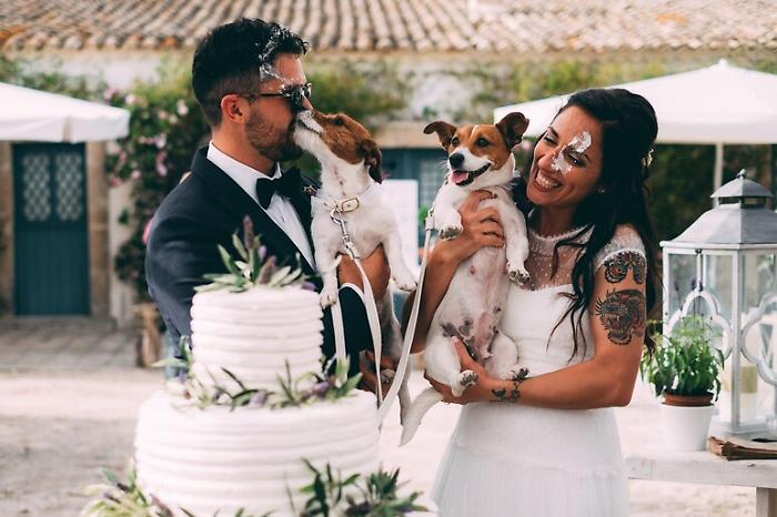Fiori d&rsquo;arancio e amici a quattro zampe: cos&igrave; il wedding dog sitter &egrave; diventato il "mai pi&ugrave; senza" dei matrimoni vip