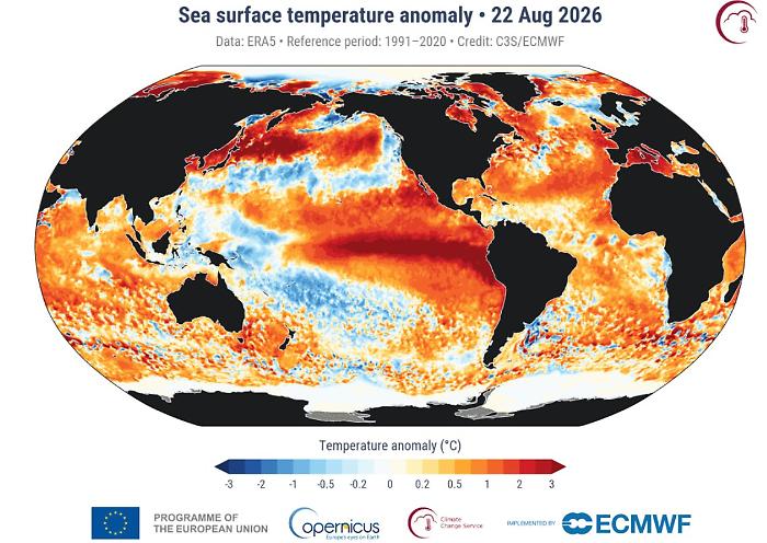 Oceani bollenti nell'estate record: perch&eacute; le misurazioni di Copernicus spaventano gli esperti