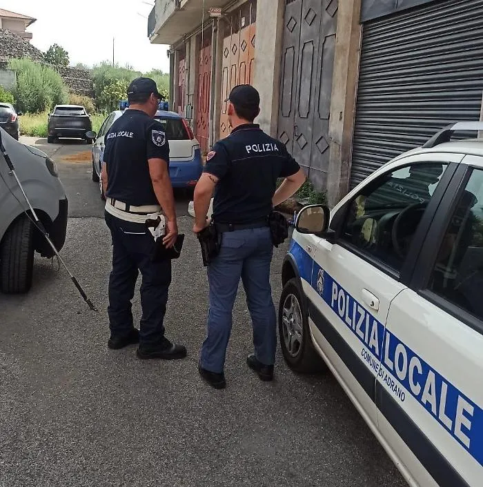 Cani torturati e uccisi: trovate le carcasse in due sacchi; 47enne denunciato 