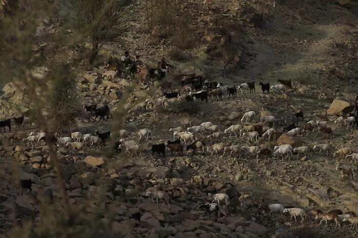 Monossido di carbonio in valle Devero: un morto e cinque intossicati in una baita