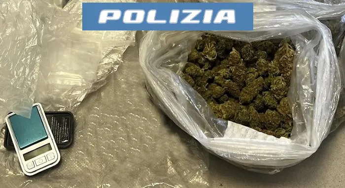 Sorpreso in strada dai  "falchi" con una busta stracolma di marijuana sotto la maglietta, pusher arrestato