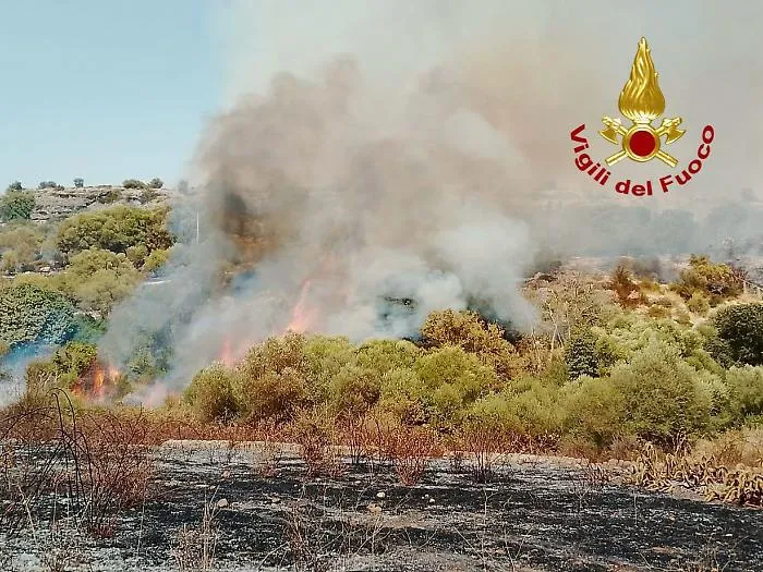Sicilia avvolta dalle fiamme per incendi dolosi e per l'ondata di caldo: 198 roghi soltanto nel weekend