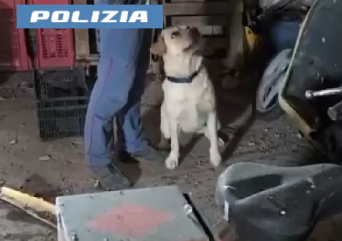 Scoperta base per lo spaccio a Patern&ograve;: arrestato un 21enne di Biancavilla con crack e marijuana