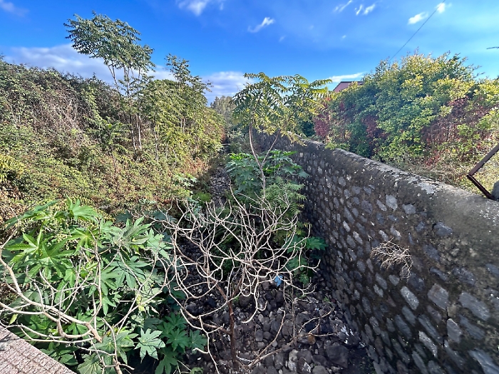 Torrenti Jungo e Macchia ancora invasi da erbacce