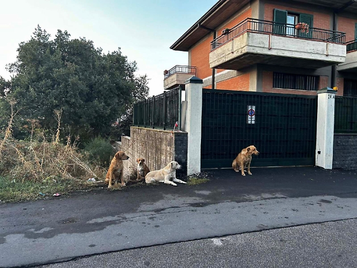 Mascalucia, residenti esasperati chiedono aiuto alla Regione