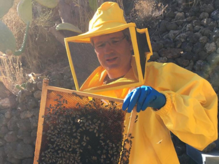 Dalla Svizzera a Ginostra per produrre il miele di cappero. &laquo;&Egrave; l'unico al mondo, rilanciamo l'agricoltura a Stromboli&raquo;