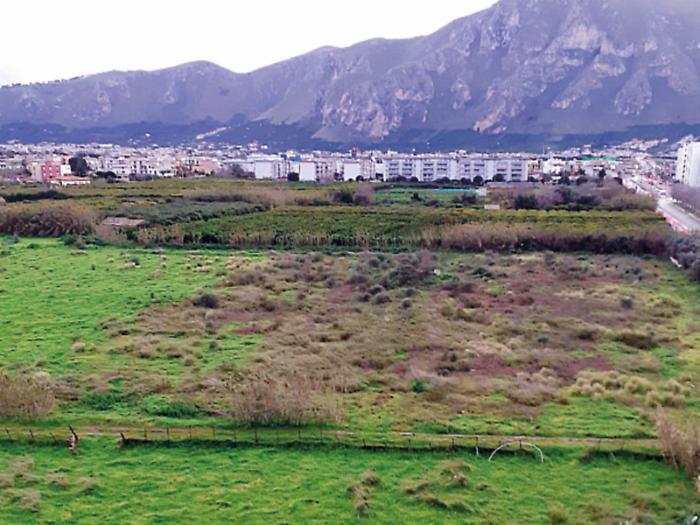 Palermo, dai politici ai comitati: tutti in campo per avere la Grand Stand Arena, la seconda circoscrizione presenta la sua proposta