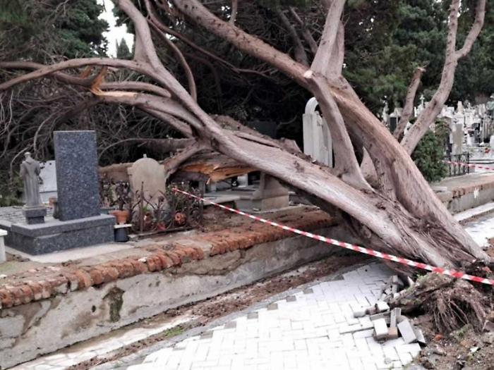 Alberi, ville e cimiteri le ferite ancora aperte dopo il ciclone Ulrike