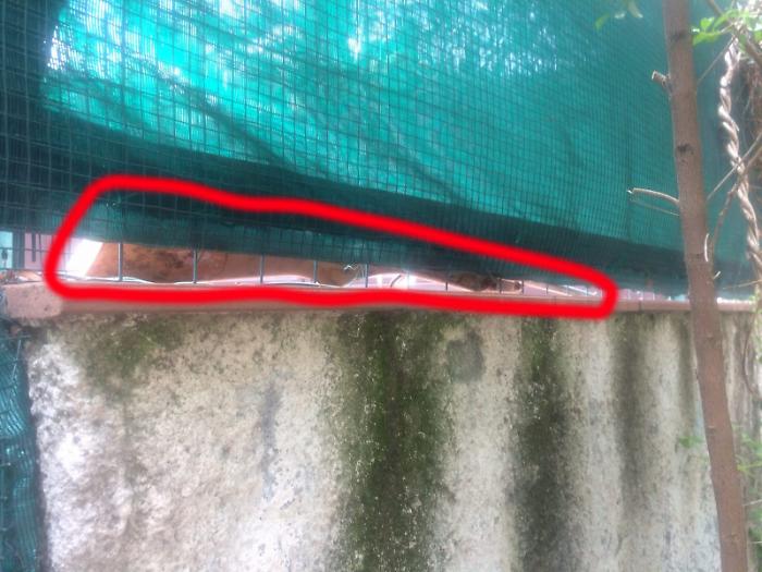 Costretti a traslocare: stavolta gli stalker sono i vicini (ora sotto processo)