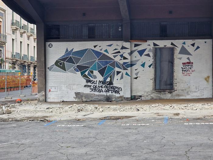 Palestra Lupo, il sindaco di Catania parla agli ex occupanti: &laquo;Non c&rsquo;&egrave; posto per l&rsquo;odio&raquo;