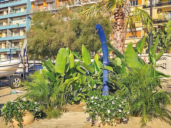 Verde e piante ornamentali per le spiagge Bandiera Blu