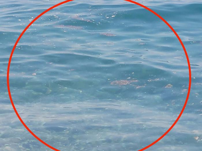 Mare sporco, va in scena il solito copione