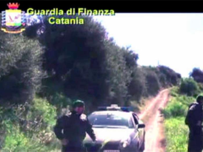 Il podere mafioso fra Giarre e Patern&ograve;: due condanne e diciassette prescritti