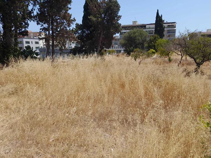 Villa Reimann nel degrado, scatta la diffida: &laquo;Intervenire subito&raquo;