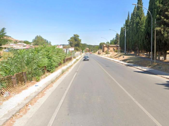 Piazza Armerina assediata dai cinghiali: strade, orti e periferie in pericolo
