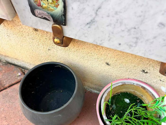 Al cimitero, oltre al rame, ora vanno a ruba persino i fiori finti