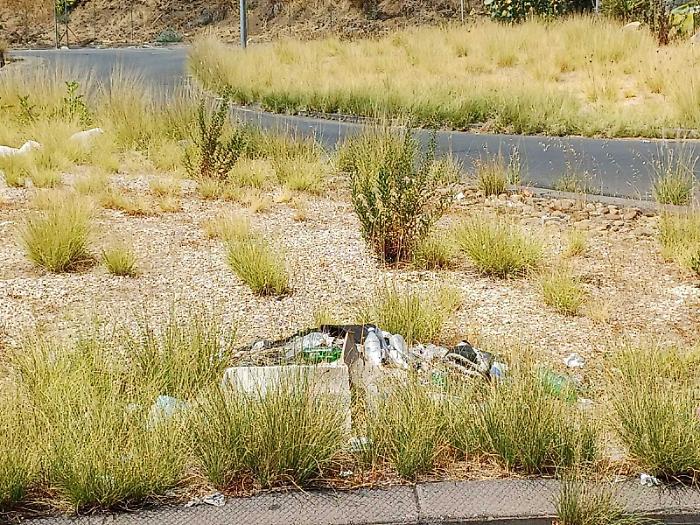 La cartolina di degrado da via Duca degli Abruzzi: &laquo;Necessari interventi&raquo;