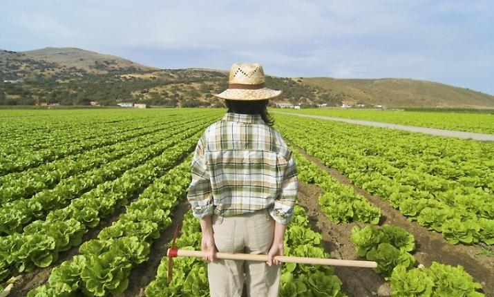 La Sicilia &egrave; la seconda regione pi&ugrave; giovane d'Italia, ma rischia di perdere il proprio futuro: cosa serve per fermare l'esodo