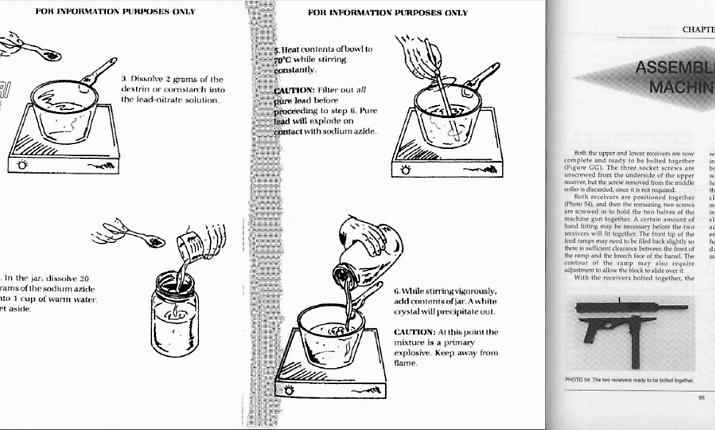 &laquo;Aveva un manuale per ogni incubo&raquo;, cosa hanno scoperto gli inquirenti sul 17enne che voleva fare una strage a scuola