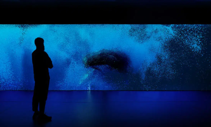 La mostra della Biennale di Venezia lodata dal New York Times: balene, plancton e alberi in una sola grande voce
