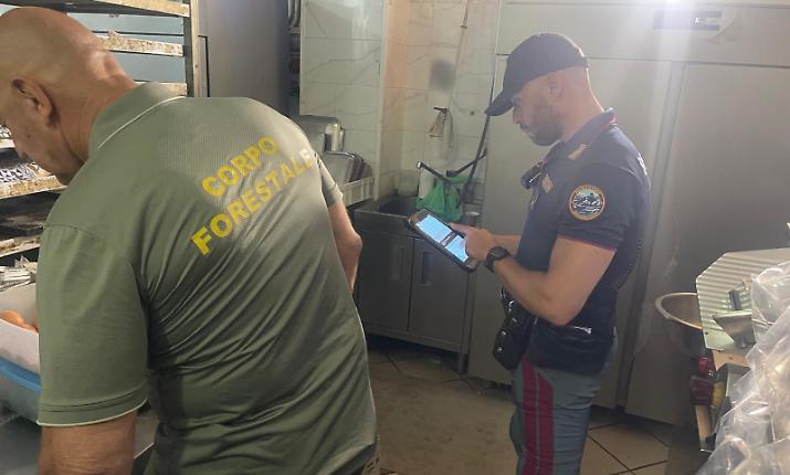 La Polizia in un panificio a Lineri: 150 chili di alimenti sequestrati e multe per violazioni igieniche