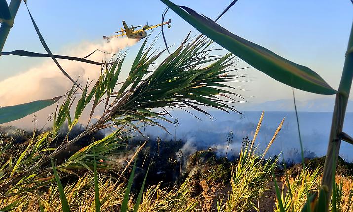 Inferno di fuoco in Sicilia: 40 roghi in poche ore, case lambite e territori al buio