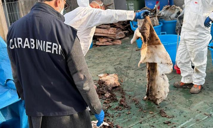 Aci Catena, spoglie mortali in sacchi di spazzatura scaricati in discarica