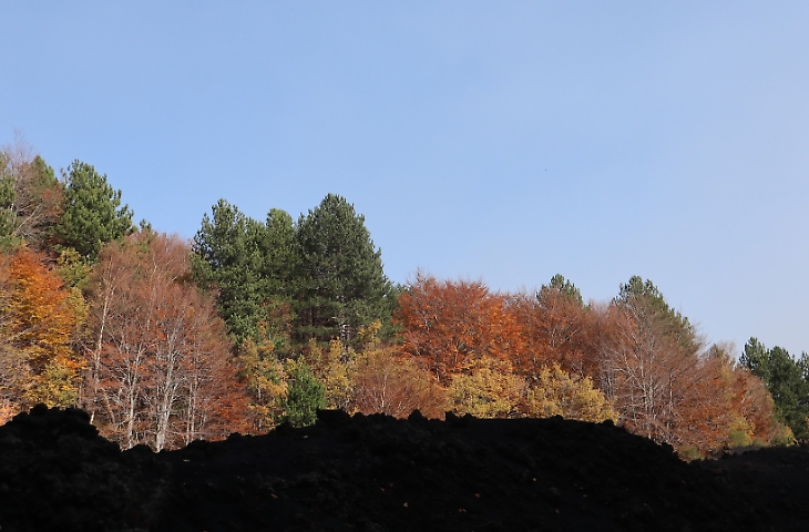 Otto escursioni da fare nella stagione fredda in Sicilia orientale (consigliate da guide e associazioni)