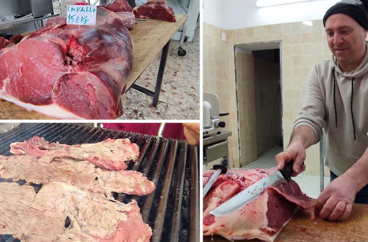 Cavalli animali d&rsquo;affezione, addio alla carne? La proposta di legge "allarma" Catania