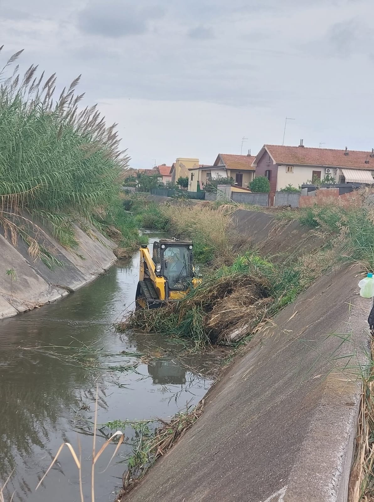 Manutenzione del torrente Forcile