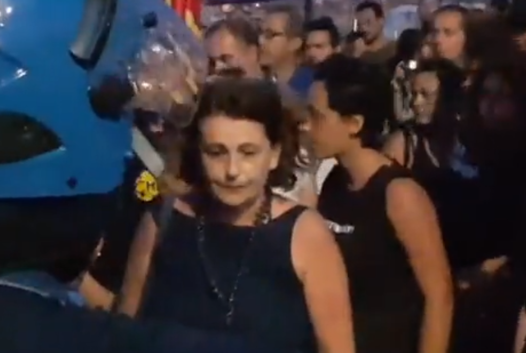 Il giudice Iolanda Apostolico nel video postato da Salvini di una protesta a Catania